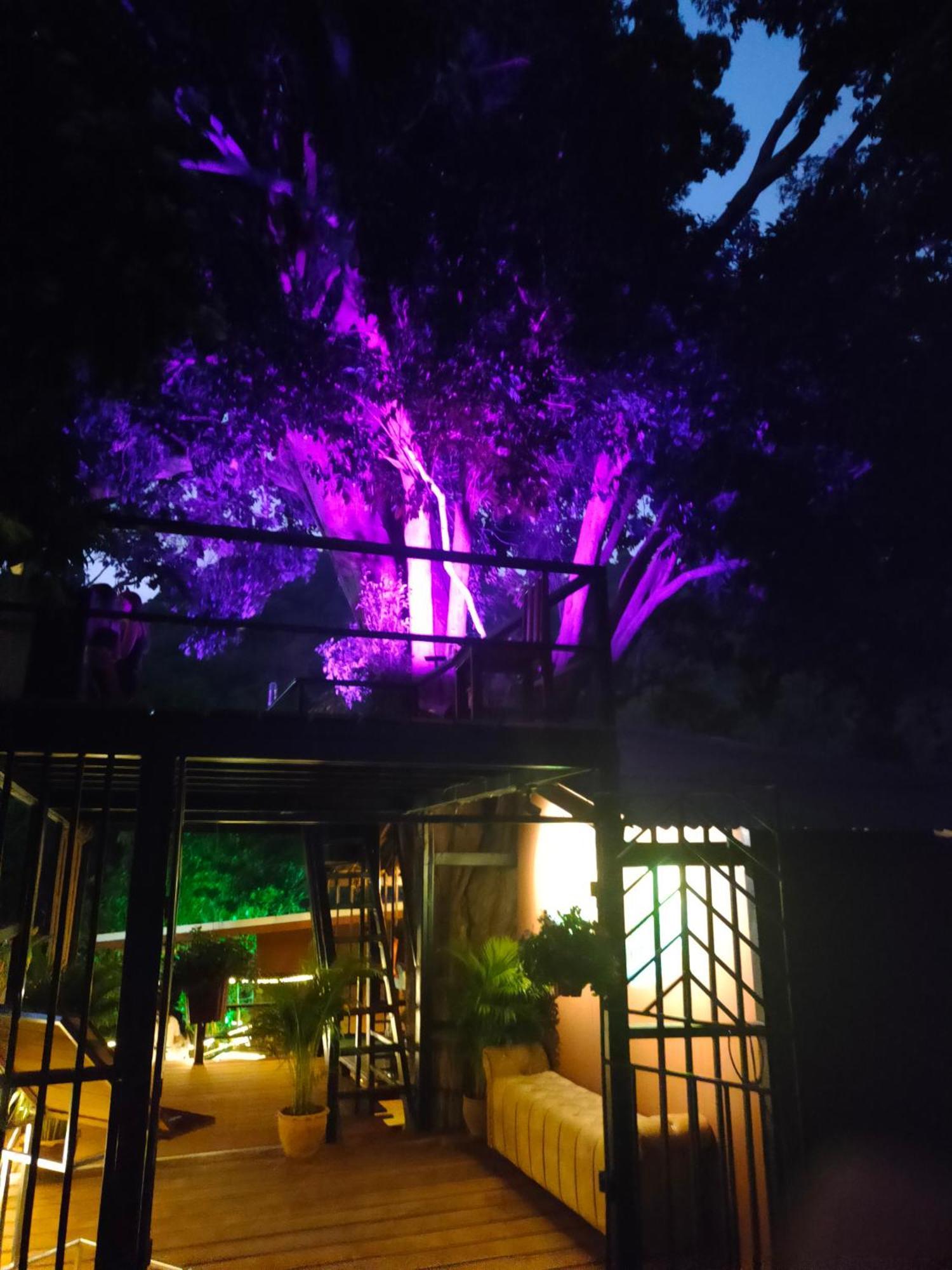 Phuket Jungle Experience Resort Karon Luaran gambar