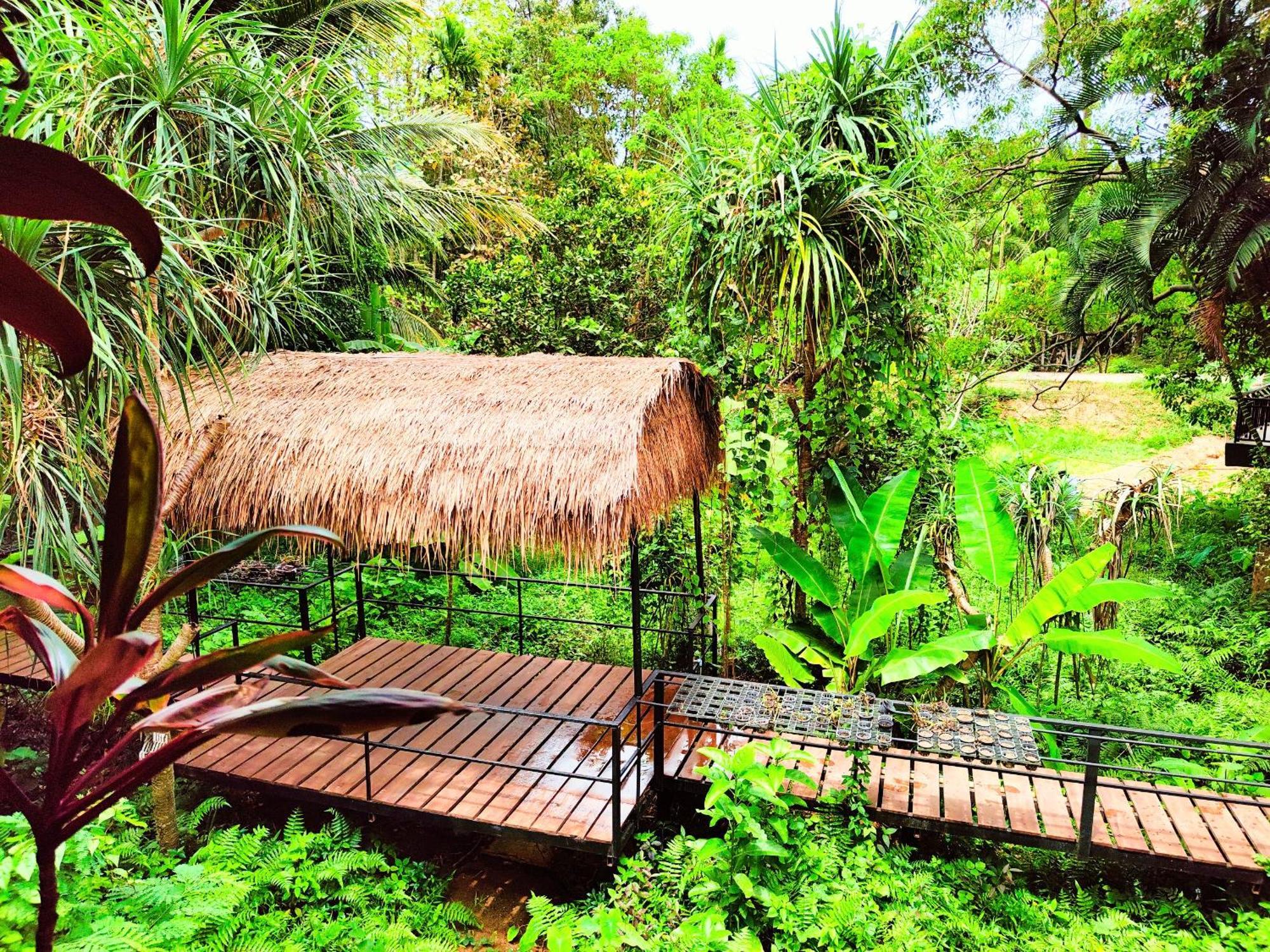 Phuket Jungle Experience Resort Karon Luaran gambar